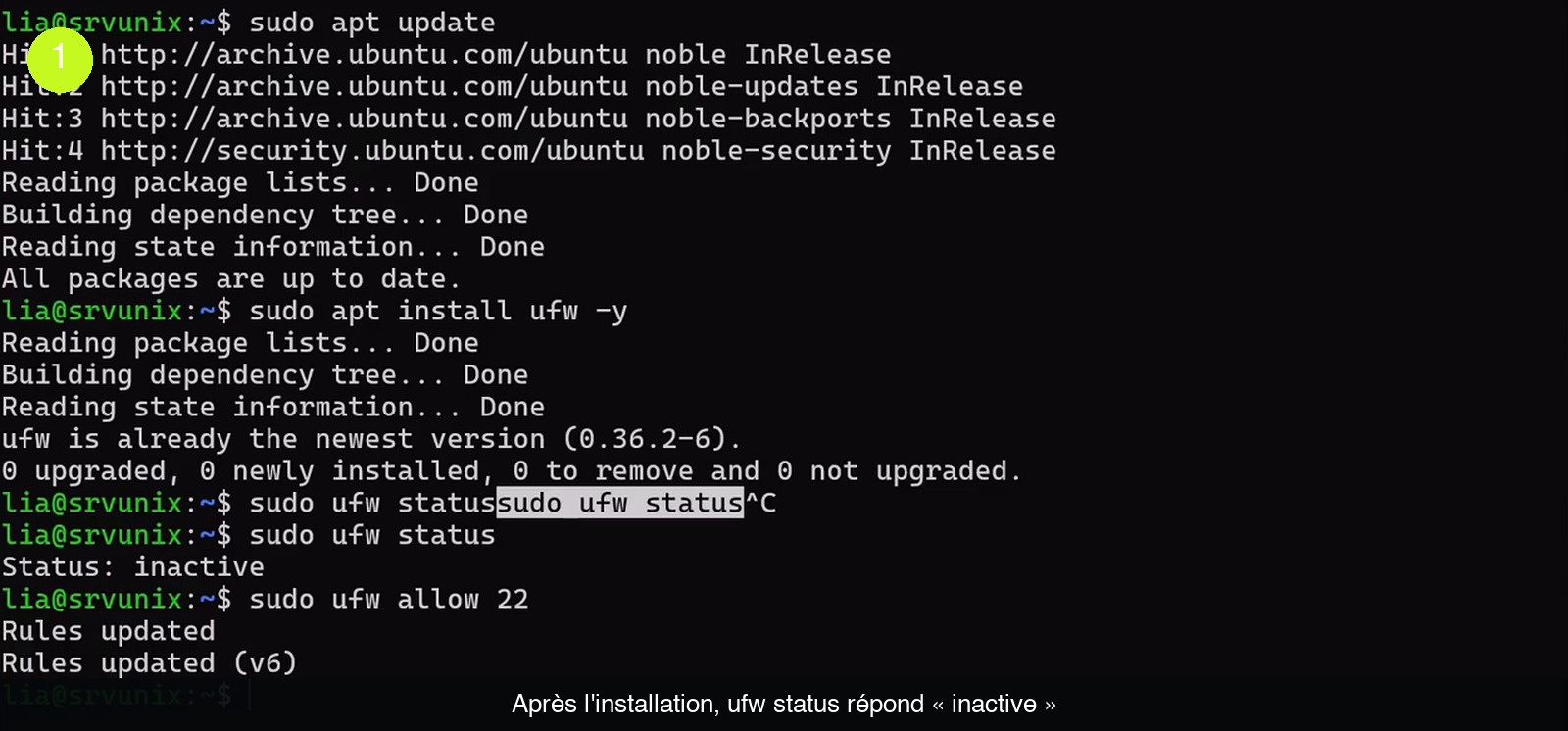 Terminal Ubuntu affichant sudo apt update, puis sudo apt install ufw -y qui répond « ufw is already the newest version (0.36.2-6) », puis sudo ufw status qui répond « Status: inactive » et enfin sudo ufw allow 22 suivi de « Rules updated »