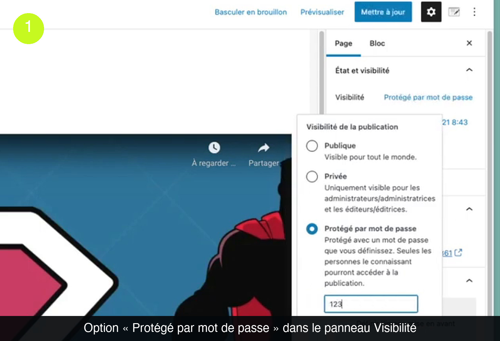 Panneau latéral de l’éditeur WordPress ouvert sur la fenêtre « Visibilité de la publication » avec les options Publique, Privée et Protégé par mot de passe, cette dernière sélectionnée, et un champ mot de passe rempli en dessous